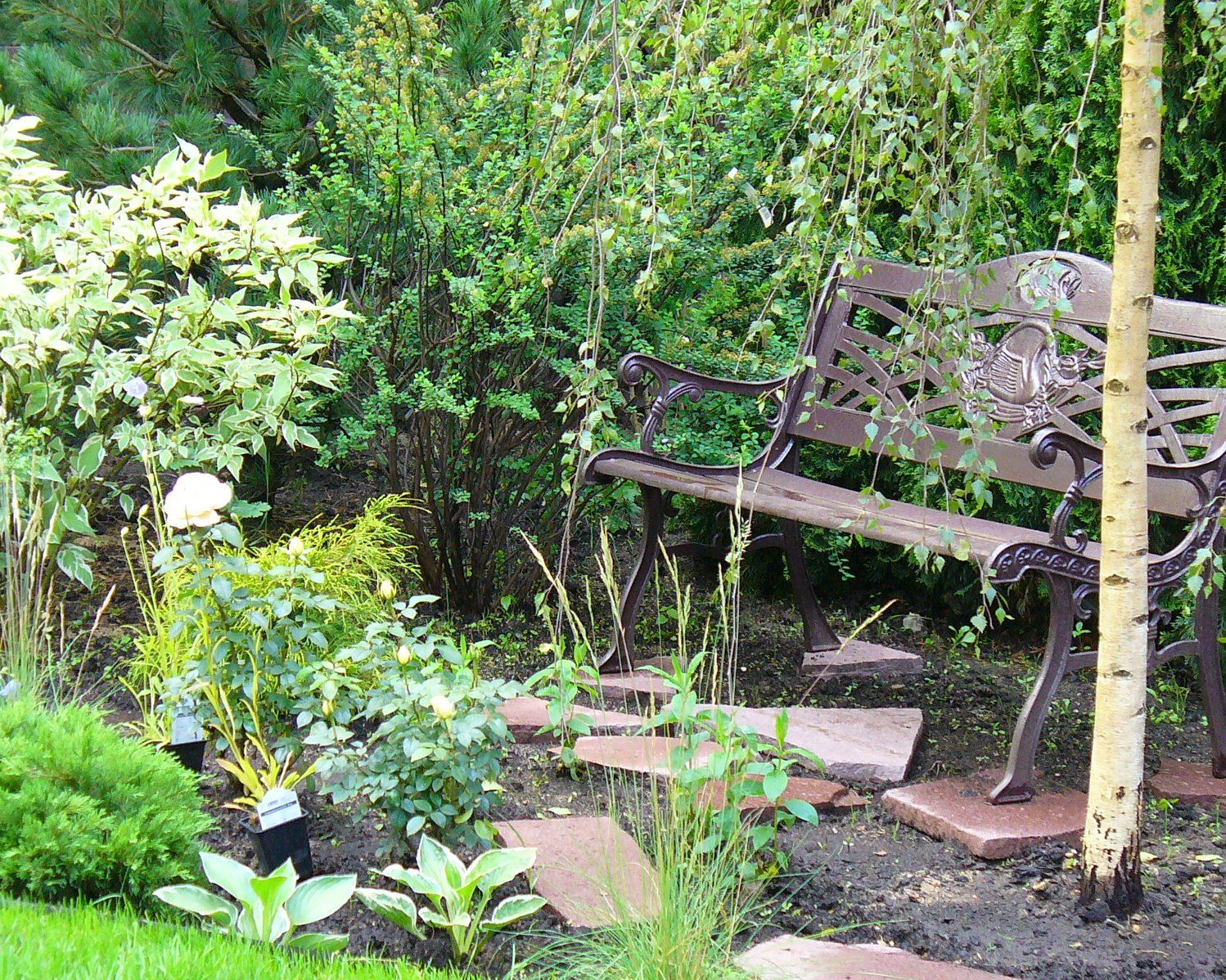 Проект Жуковка